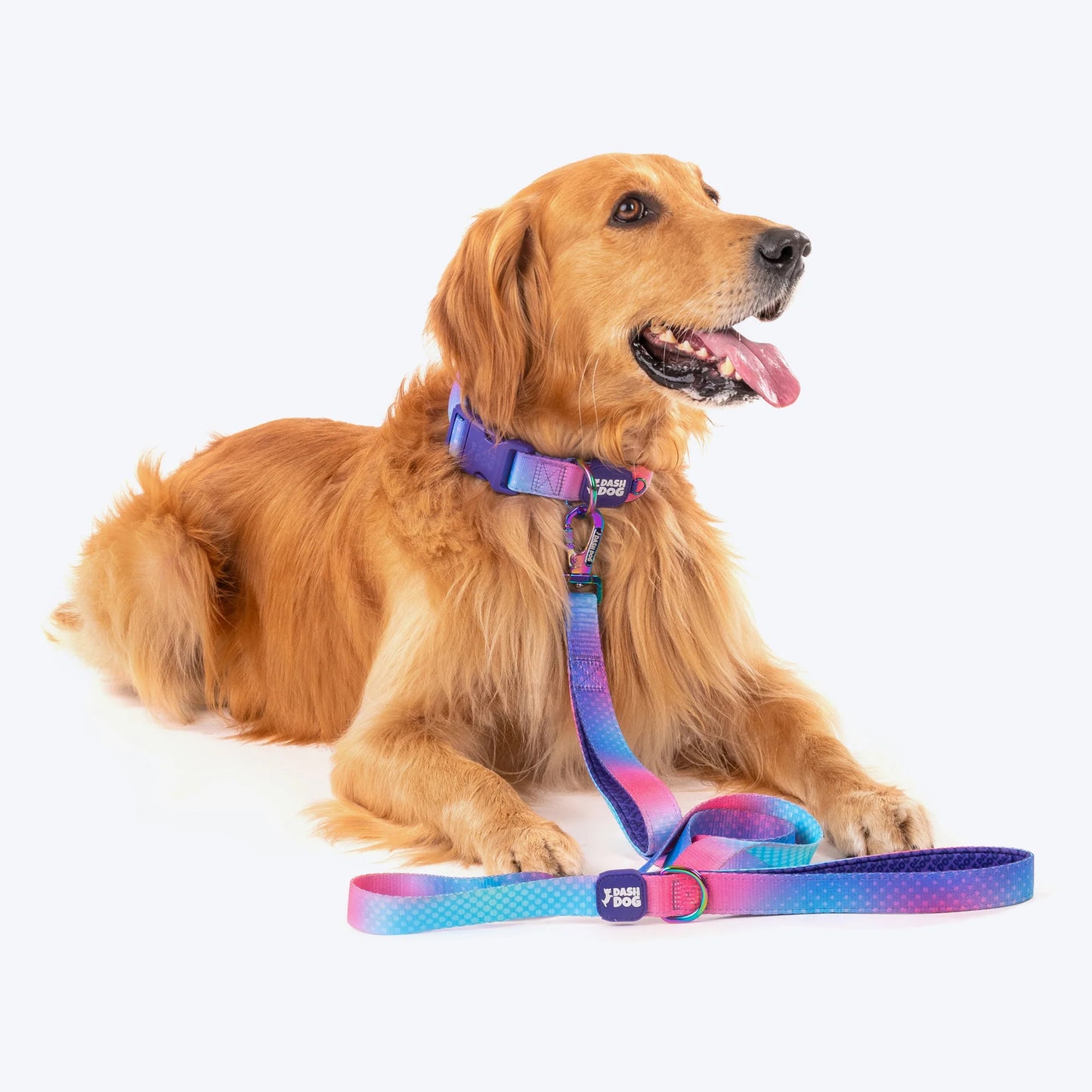 Dash Dog Flow Print Leash - Pink & Aqua Blue - Heads Up For Tails