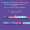Dash Dog Flow Print Leash - Pink & Aqua Blue - Heads Up For Tails