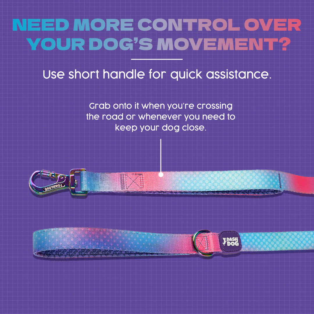 Dash Dog Flow Print Leash - Pink & Aqua Blue - Heads Up For Tails