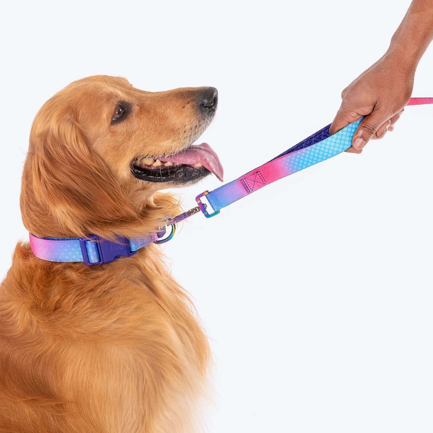 Dash Dog Flow Print Leash - Pink & Aqua Blue - Heads Up For Tails