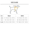 Dash Dog Walk Pro Harness For Dog - Blue & Orange