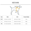 Dash Dog Zoom Walk Along Harness - Aqua Blue & Lavender - Heads Up For Tails