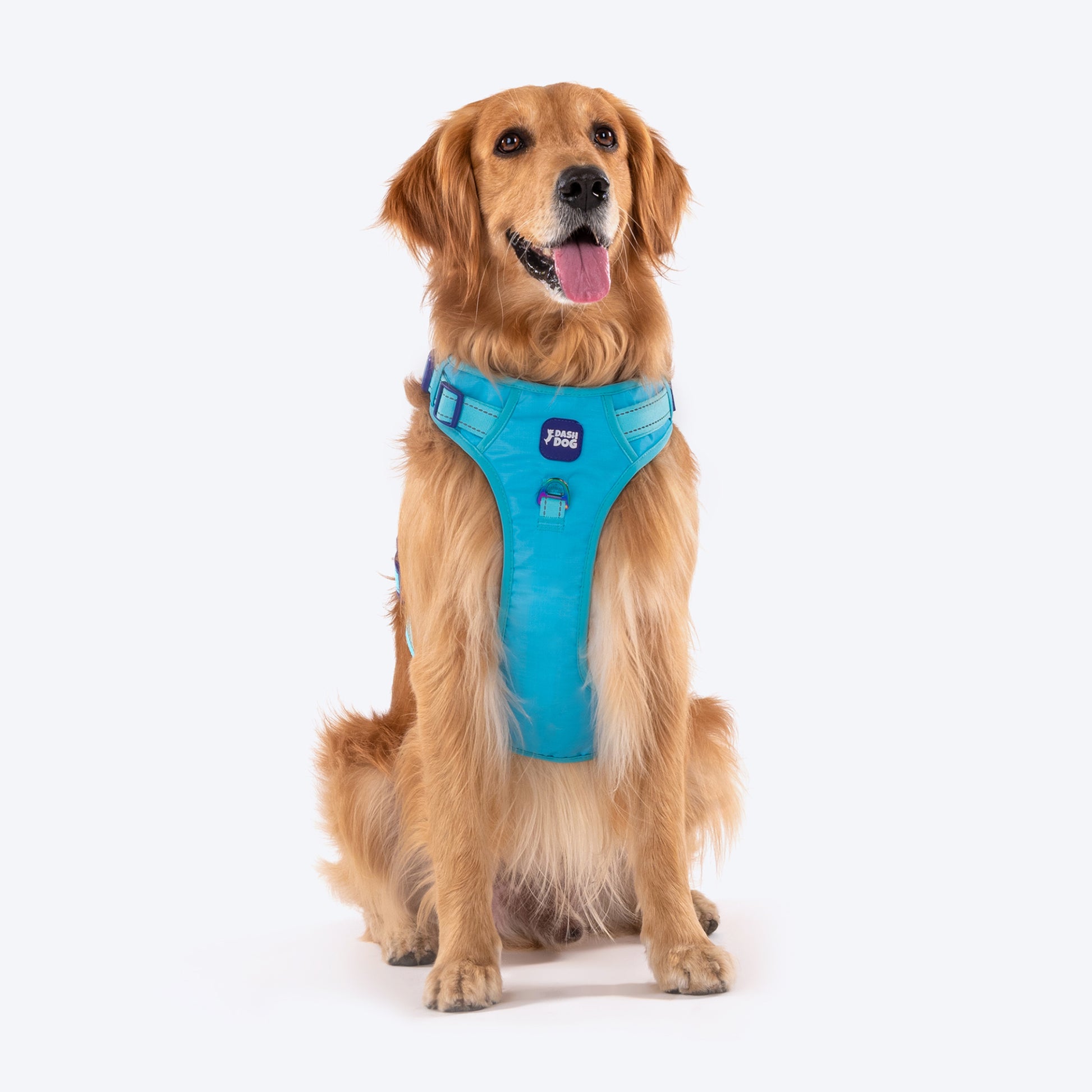 Dash Dog Zoom Walk Along Harness - Aqua Blue & Lavender - Heads Up For Tails