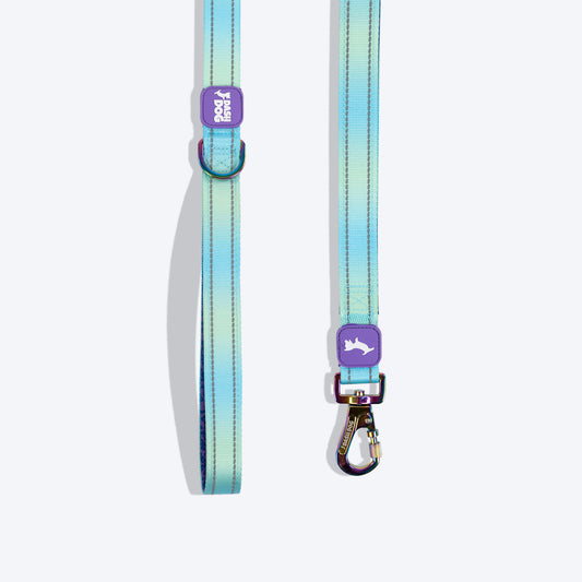 Dash Dog Ethernal Fade Dual Handle Leash For Dog - Aqua_01