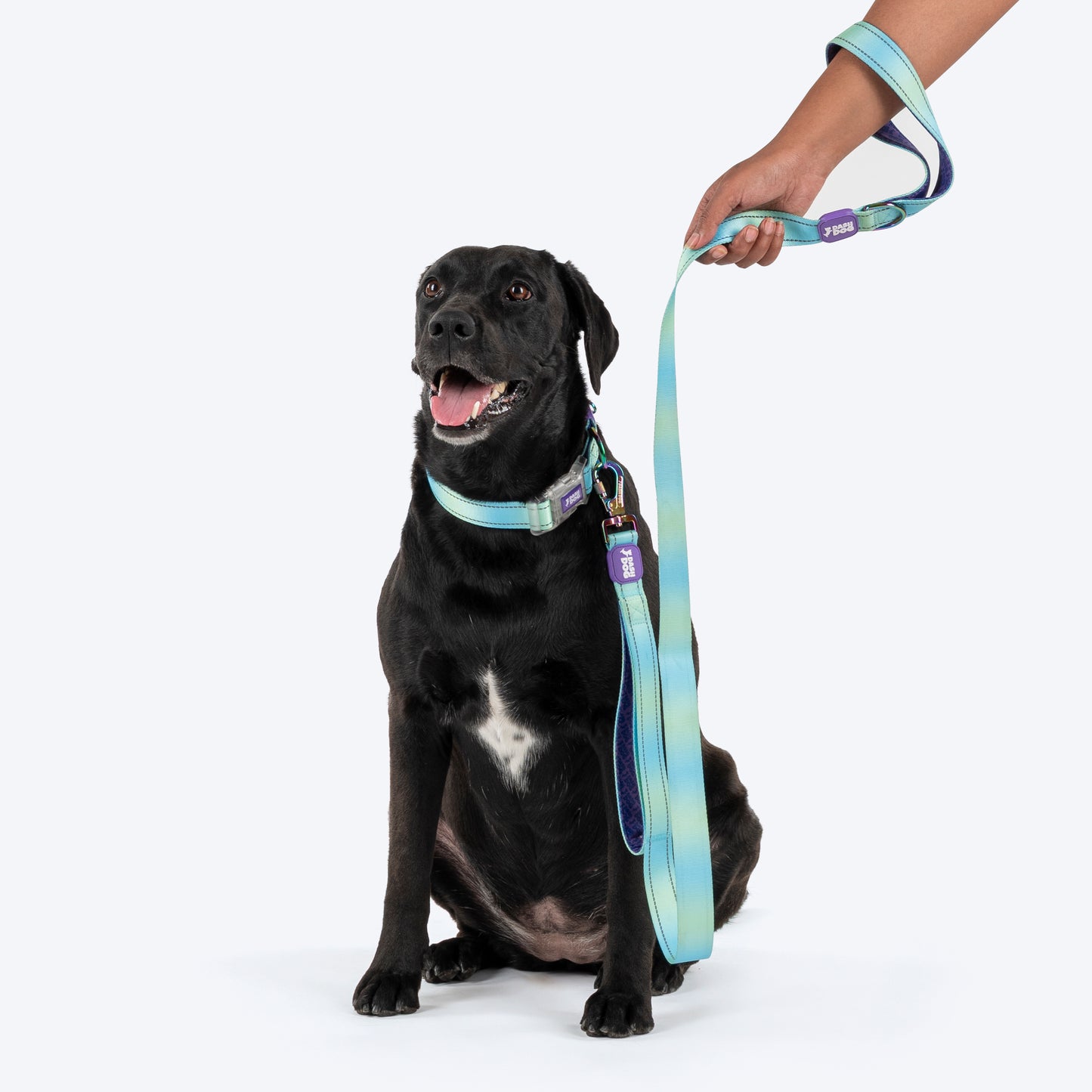 Dash Dog Ethernal Fade Dual Handle Leash For Dog - Aqua_05
