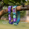 Dash Dog Ethernal Fade Padded Collar For Dog - Aqua_02