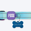 Dash Dog Ethernal Fade Padded Collar For Dog - Aqua_12