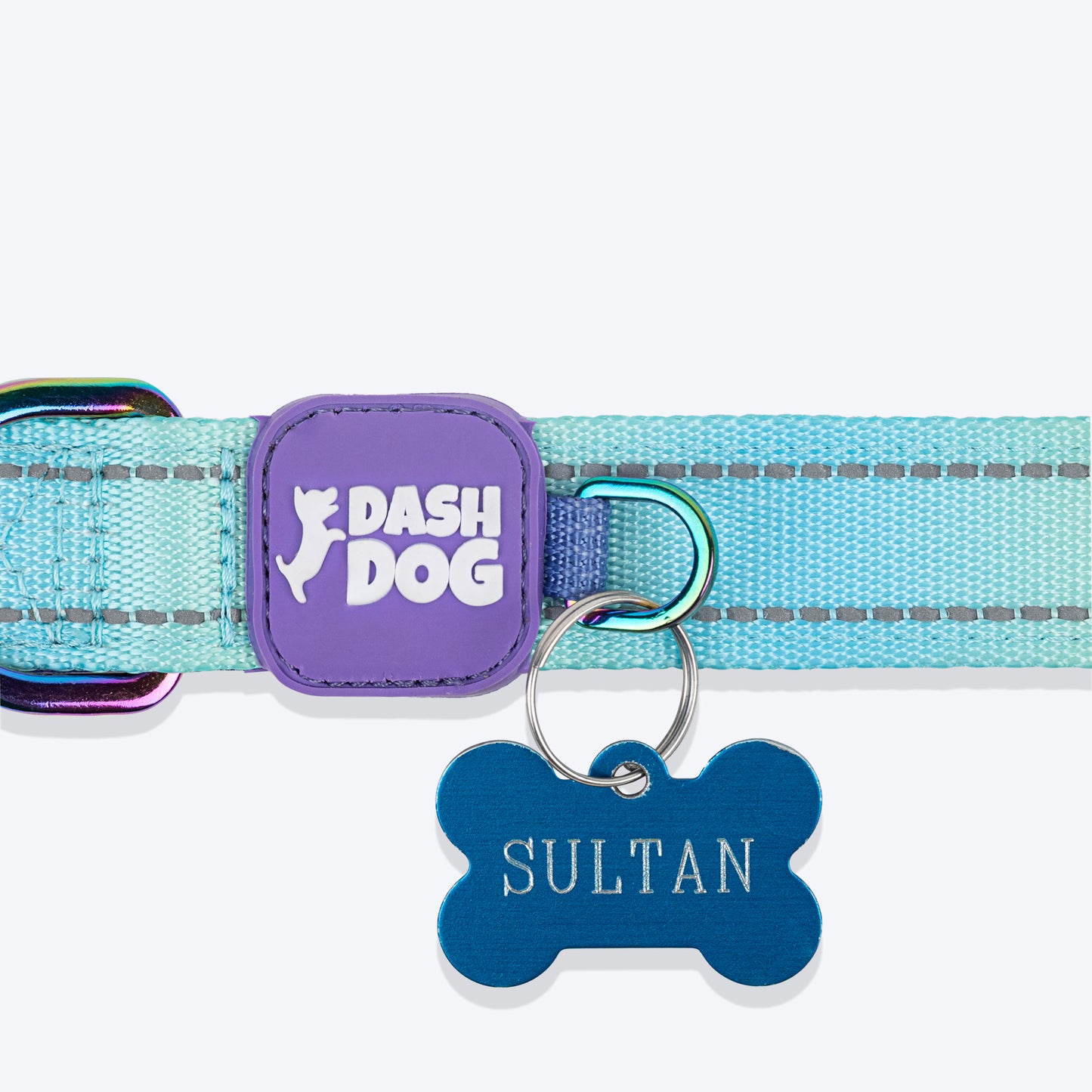 Dash Dog Ethernal Fade Padded Collar For Dog - Aqua_12