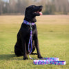 Dash Dog Galaxy Dual Handle Leash For Dog - Purple_03