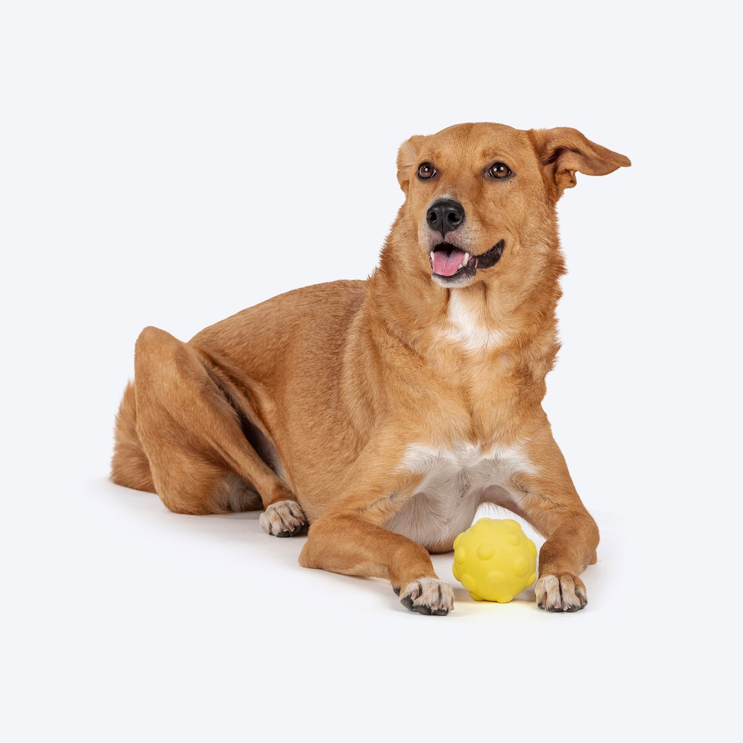 Dash Dog Mello-Yello Bubble Ball For Dog - Yellow - M_06