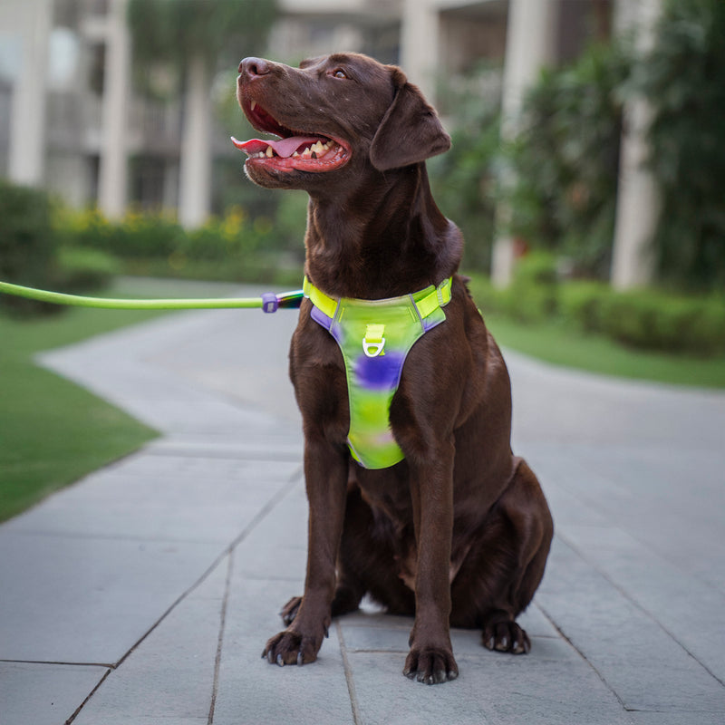Dash Dog Neon Fusion Outdoor Ease Harness For Dog - Neon Gree_03