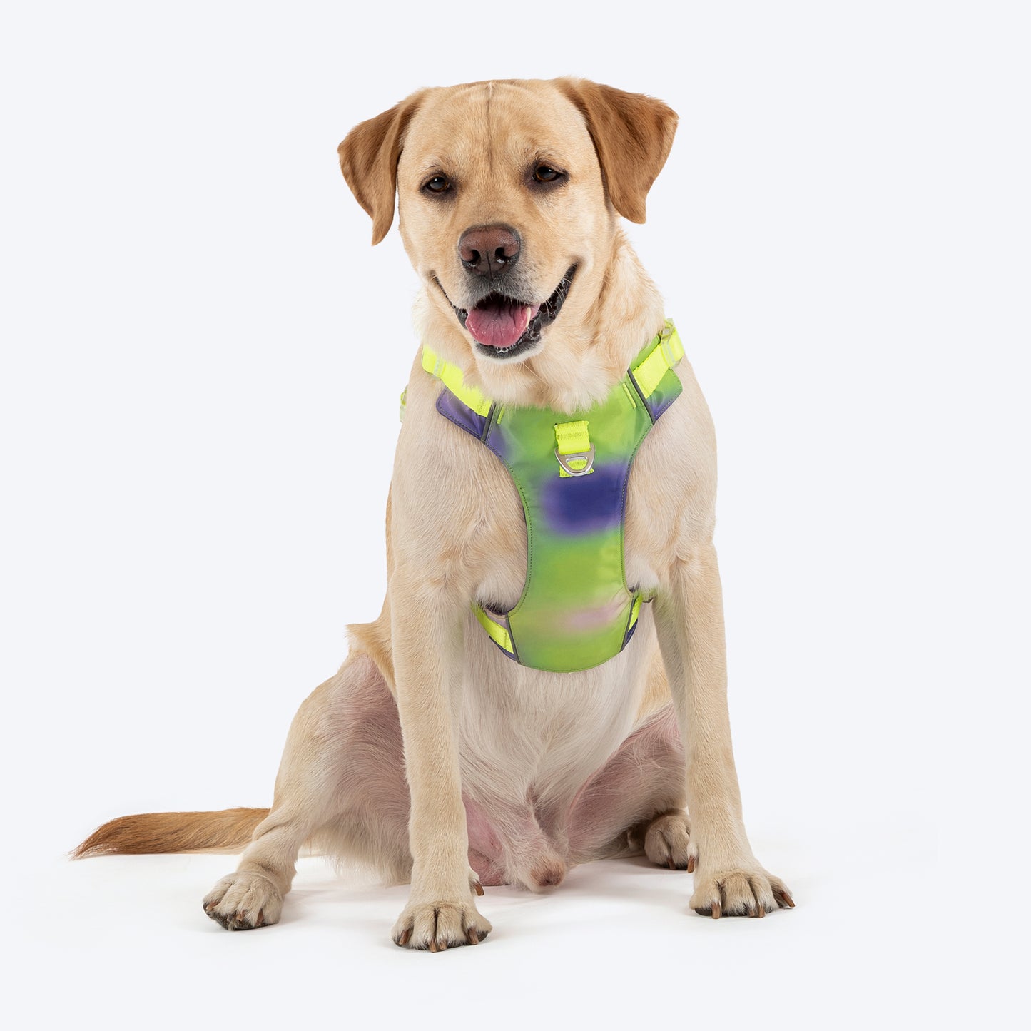 Dash Dog Neon Fusion Outdoor Ease Harness For Dog - Neon Gree_05