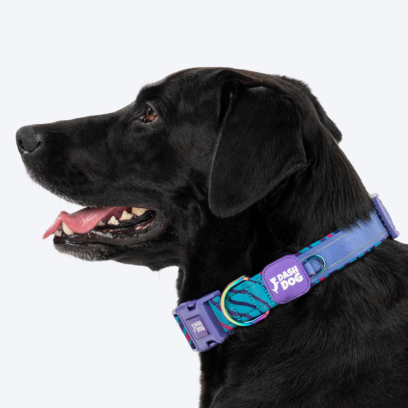 Dash Dog Ocean Breeze Padded Collar For Dog - Teal Blue_04