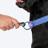 Dash Dog Ocean Breeze Padded Collar For Dog - Teal Blue_07