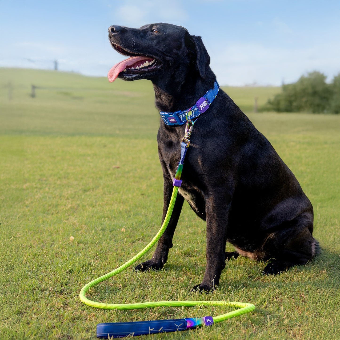 Dash Dog Powerpull Rope Leash For Dog - Neon Green_03