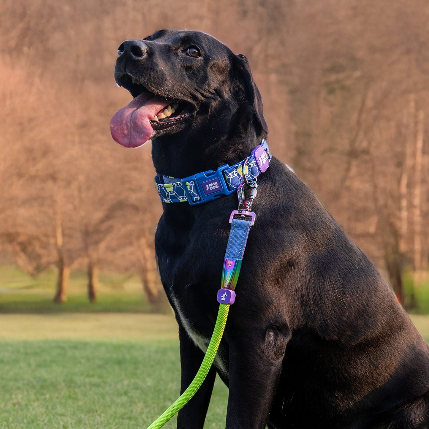 Dash Dog Powerpull Rope Leash For Dog - Neon Green_04