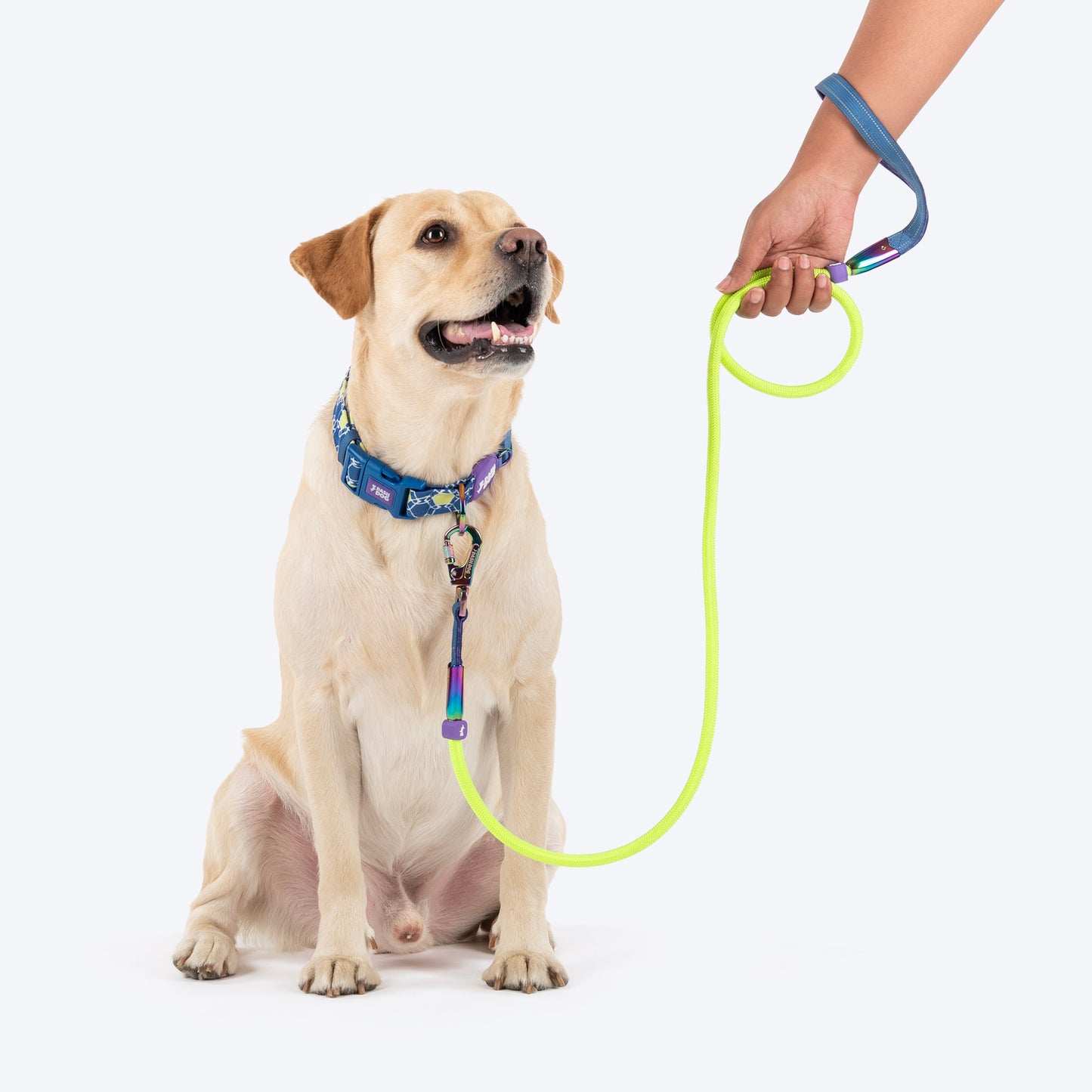 Dash Dog Powerpull Rope Leash For Dog - Neon Green_06