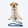 Dash_Dog_Trail_Tails_Waterproof_Dog_Collar_Leash_Set_-_Blue_04
