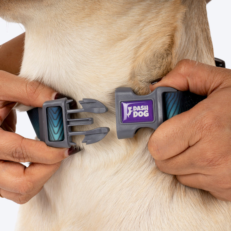 Dash_Dog_Trail_Tails_Waterproof_Dog_Collar_Leash_Set_-_Blue_08