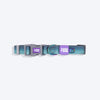 Dash_Dog_Trail_Tails_Waterproof_Dog_Collar_Leash_Set_-_Blue_18