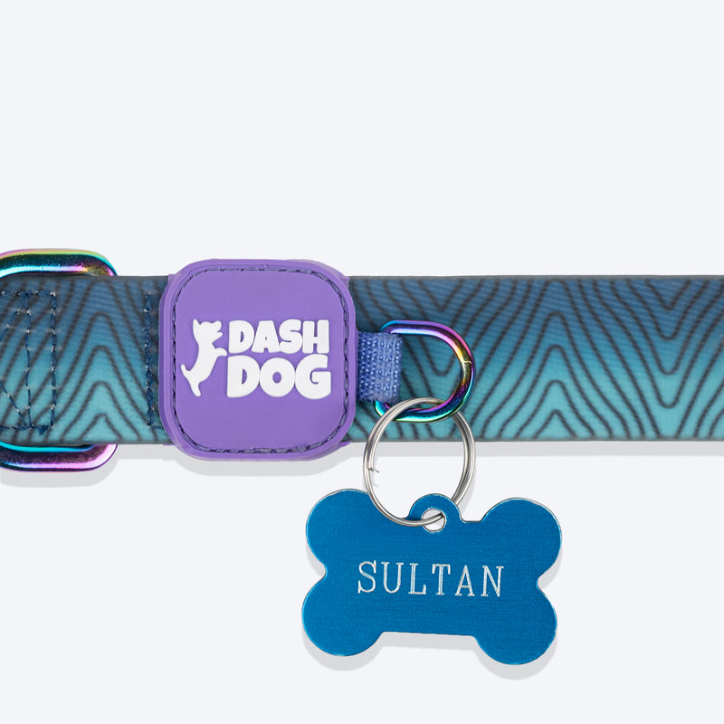Dash_Dog_Trail_Tails_Waterproof_Dog_Collar_Leash_Set_-_Blue_19