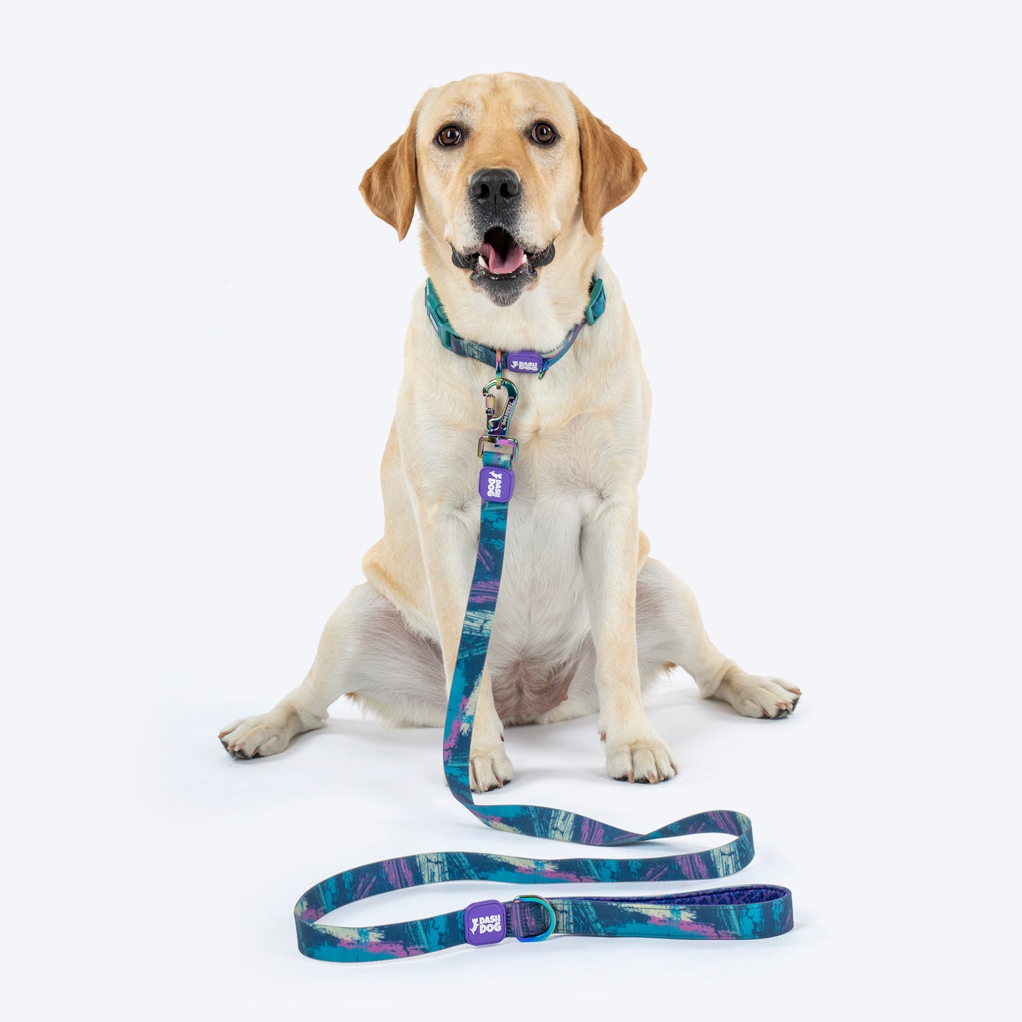 Dash_Dog_Wild_Ridge_Waterproof_Dog_Collar_Leash_Set_-_Green_07