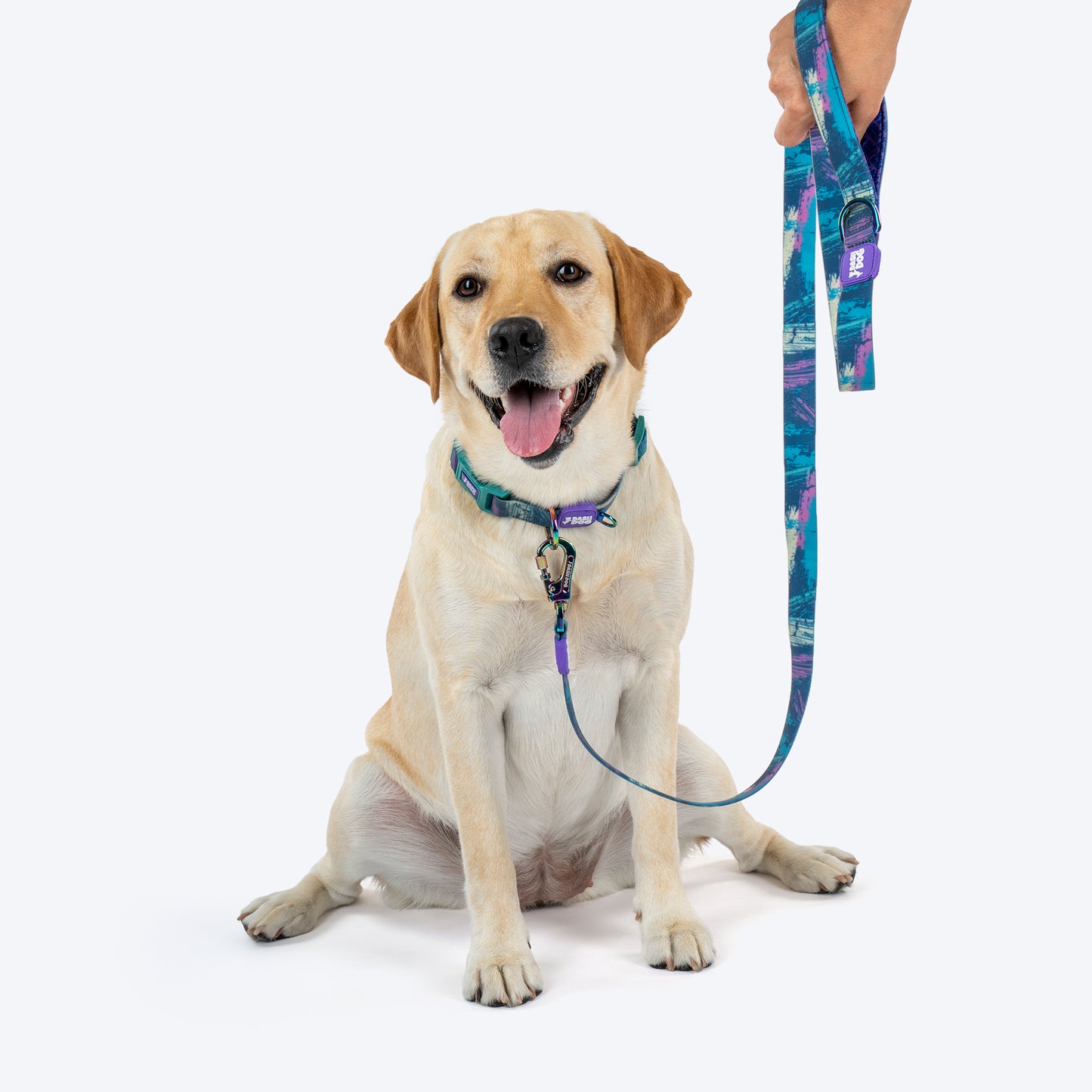 Dash_Dog_Wild_Ridge_Waterproof_Dog_Collar_Leash_Set_-_Green_08