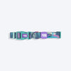 Dash_Dog_Wild_Ridge_Waterproof_Dog_Collar_Leash_Set_-_Green_18