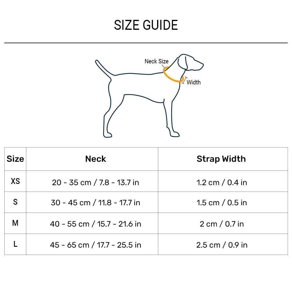 TLC Basic Collar For Dog - Orange - Heads Up For Tails