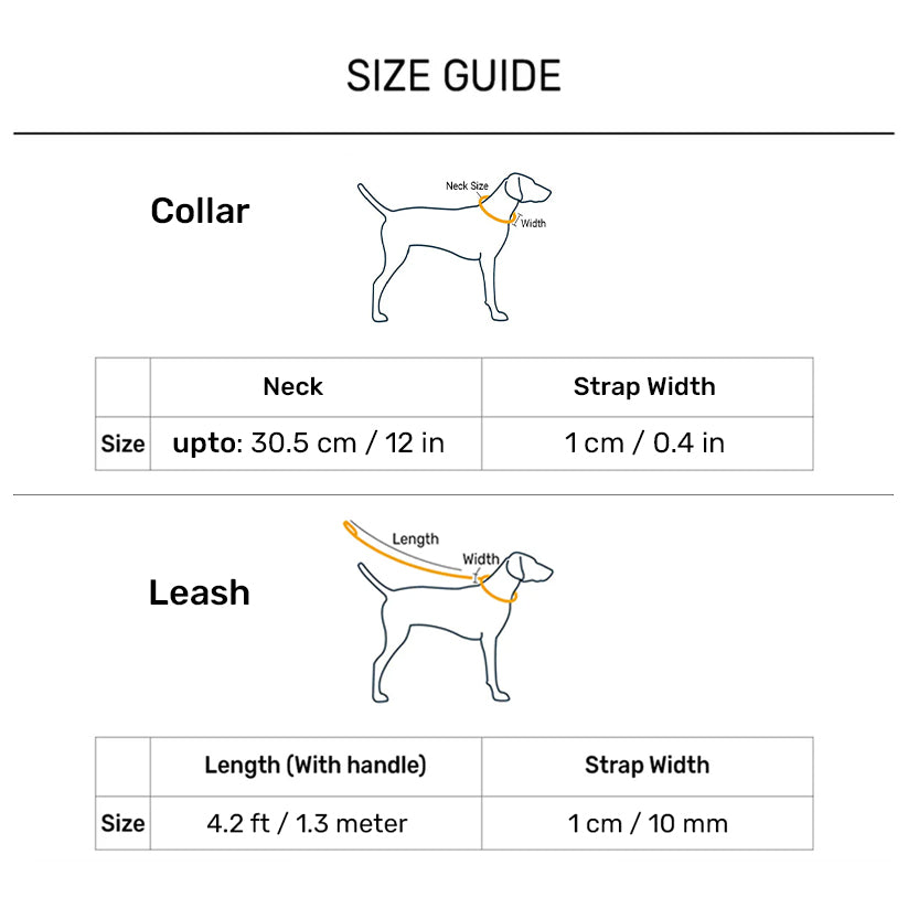 TLC Collar & Leash Set For Puppy - Multicolor - Heads Up For Tails