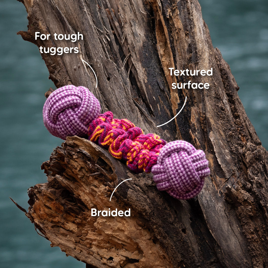 Dash Dog Double Trouble Bungee Rope Toy For Dog - Pink - Heads Up For Tails