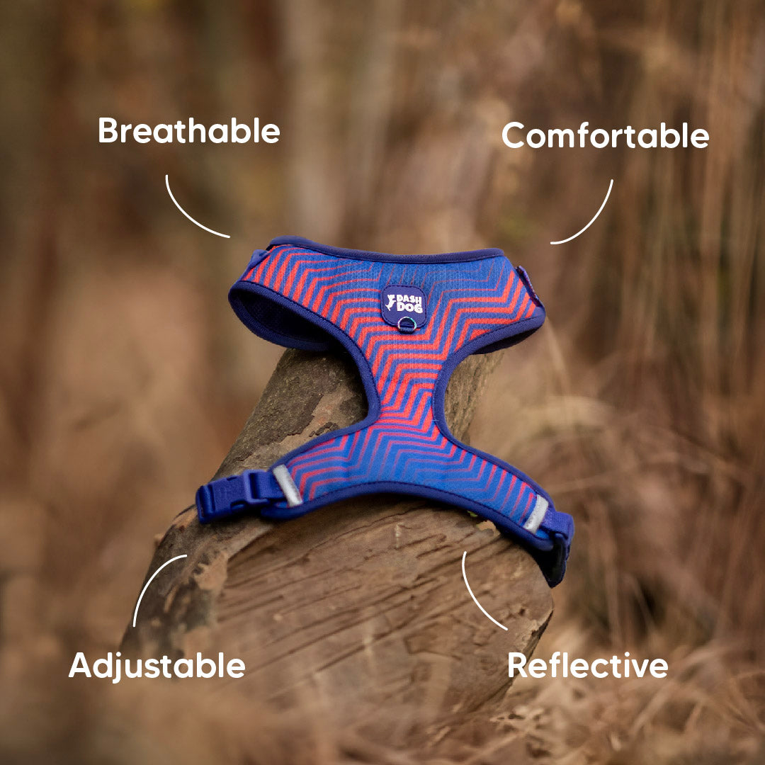 Dash Dog Chevron Easy Walk Harness For Dog - Purple - Heads Up For Tails
