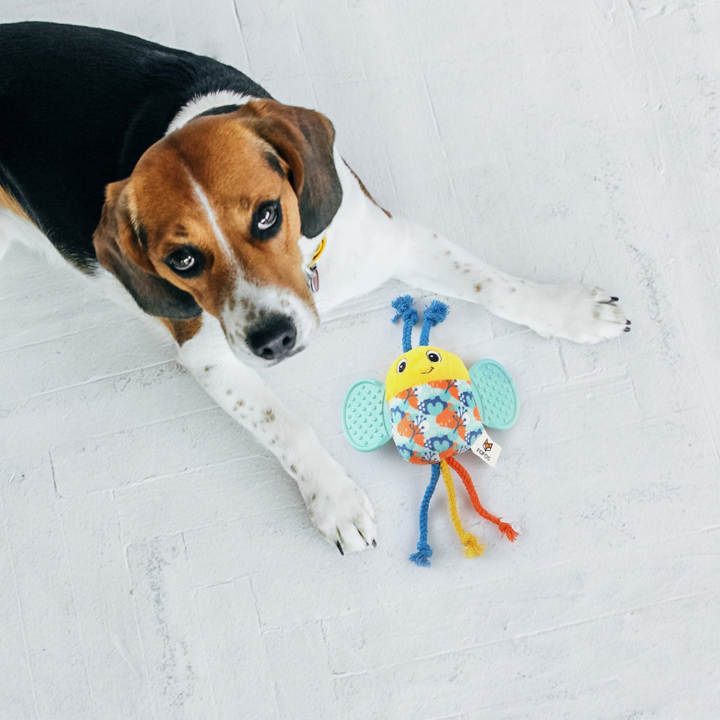 FOFOS Bee Squeaky Chew Toy For Puppy - Multicolor - Heads Up For Tails