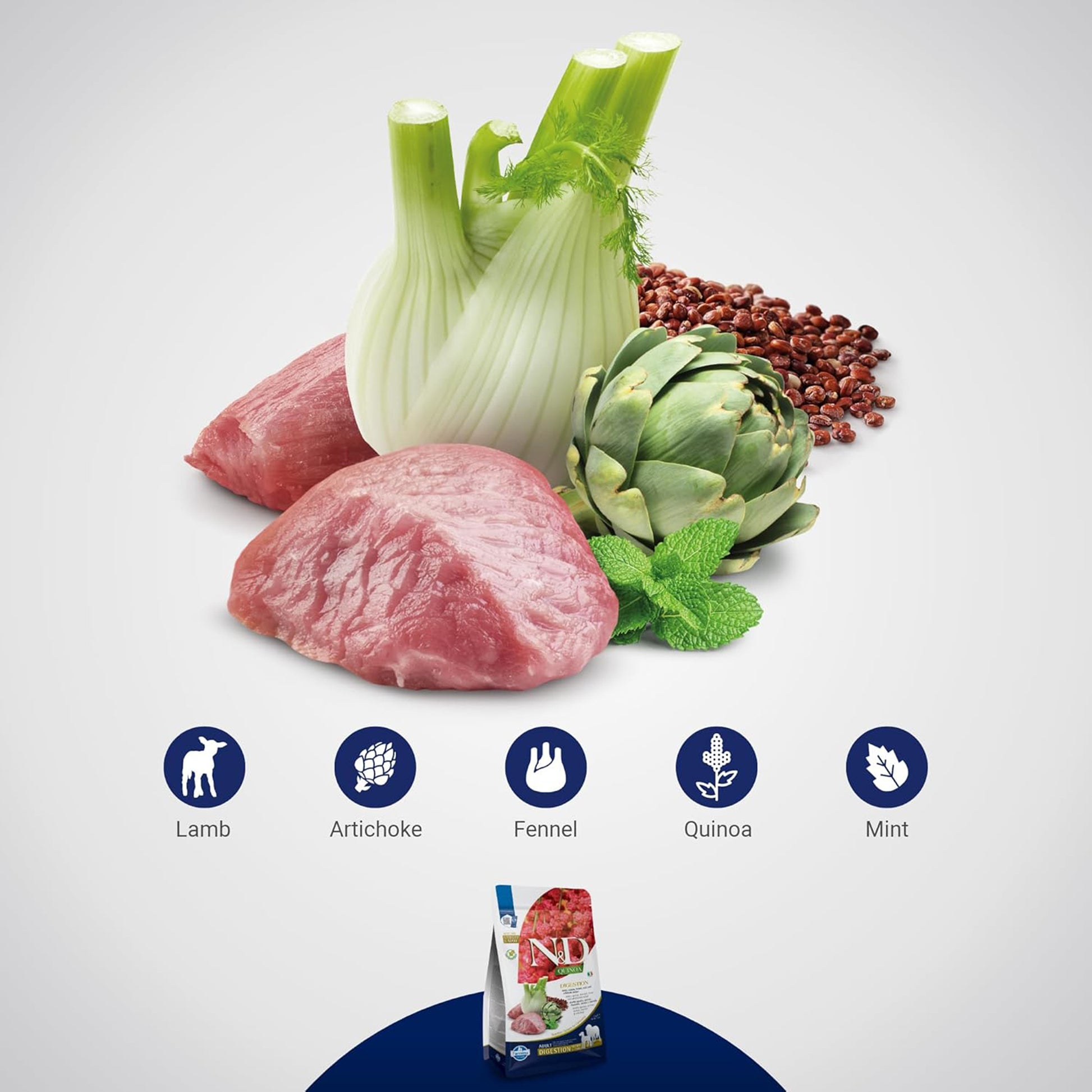 Farmina Quinoa Digestion Lamb Dry Food For Adult Dog - Medium & Maxi - Heads Up For Tails