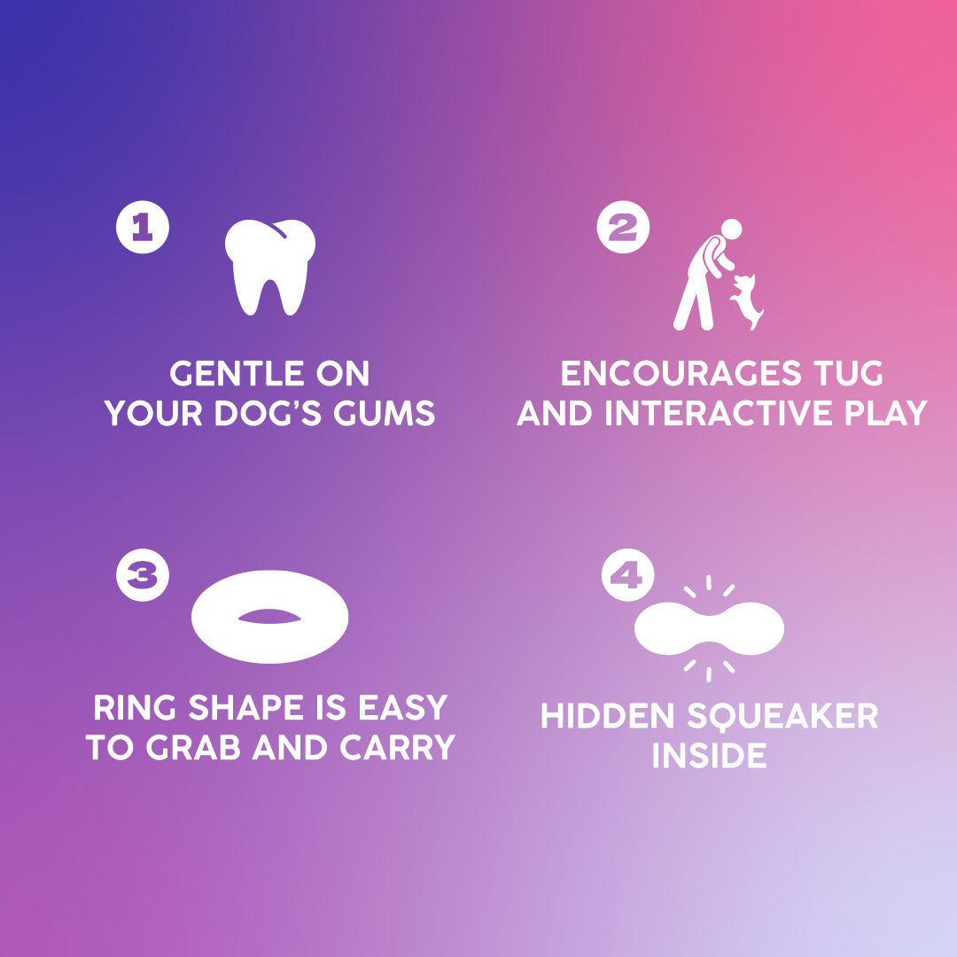 Dash Dog Grab & Gnaw Squeaky Toy For Dog - Neon Green & Blue - Heads Up For Tails