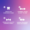 Dash Dog Gnaw & Go Squeaky Toy For Dog - Purple & Blue - Heads Up For Tails