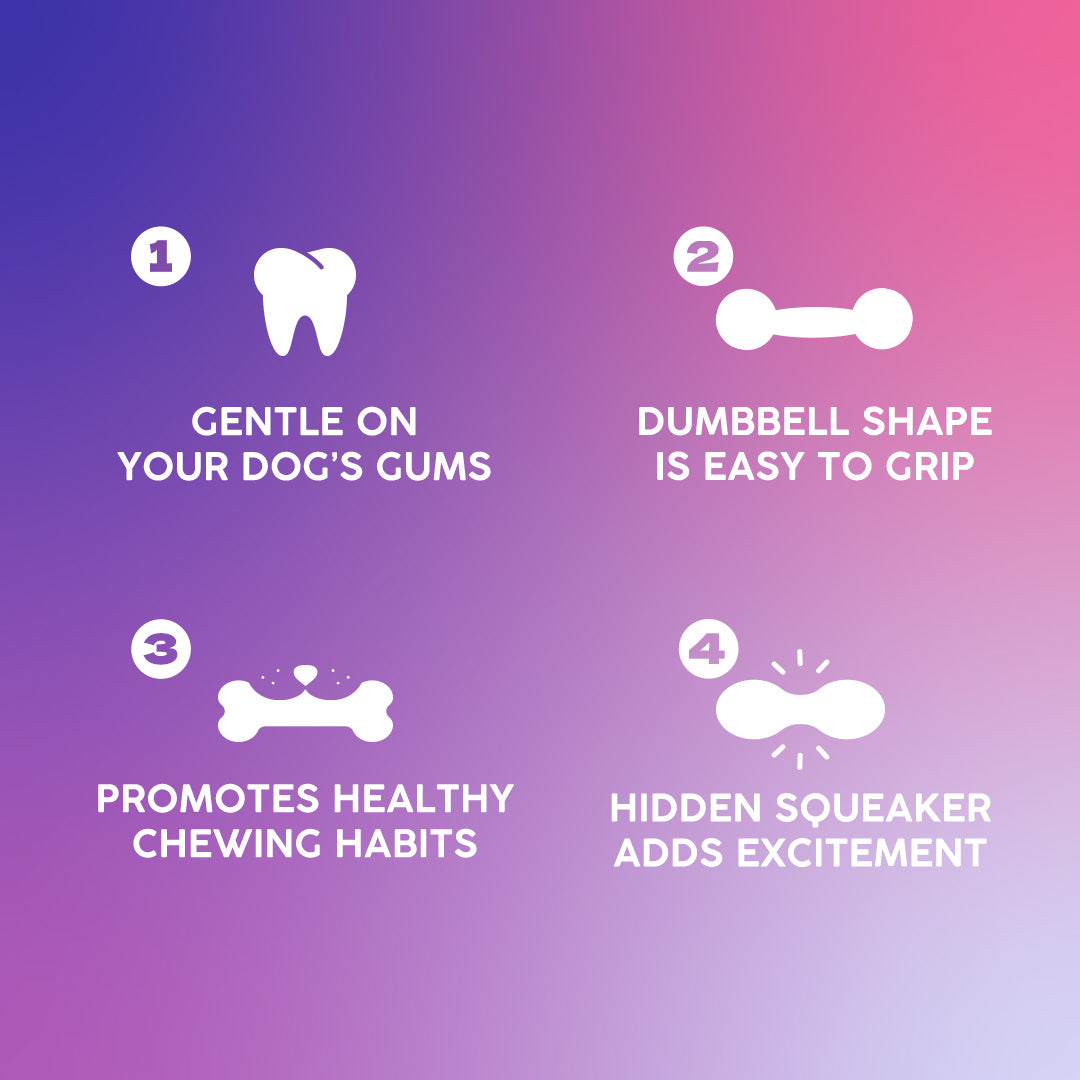 Dash Dog Gnaw & Go Squeaky Toy For Dog - Purple & Blue - Heads Up For Tails