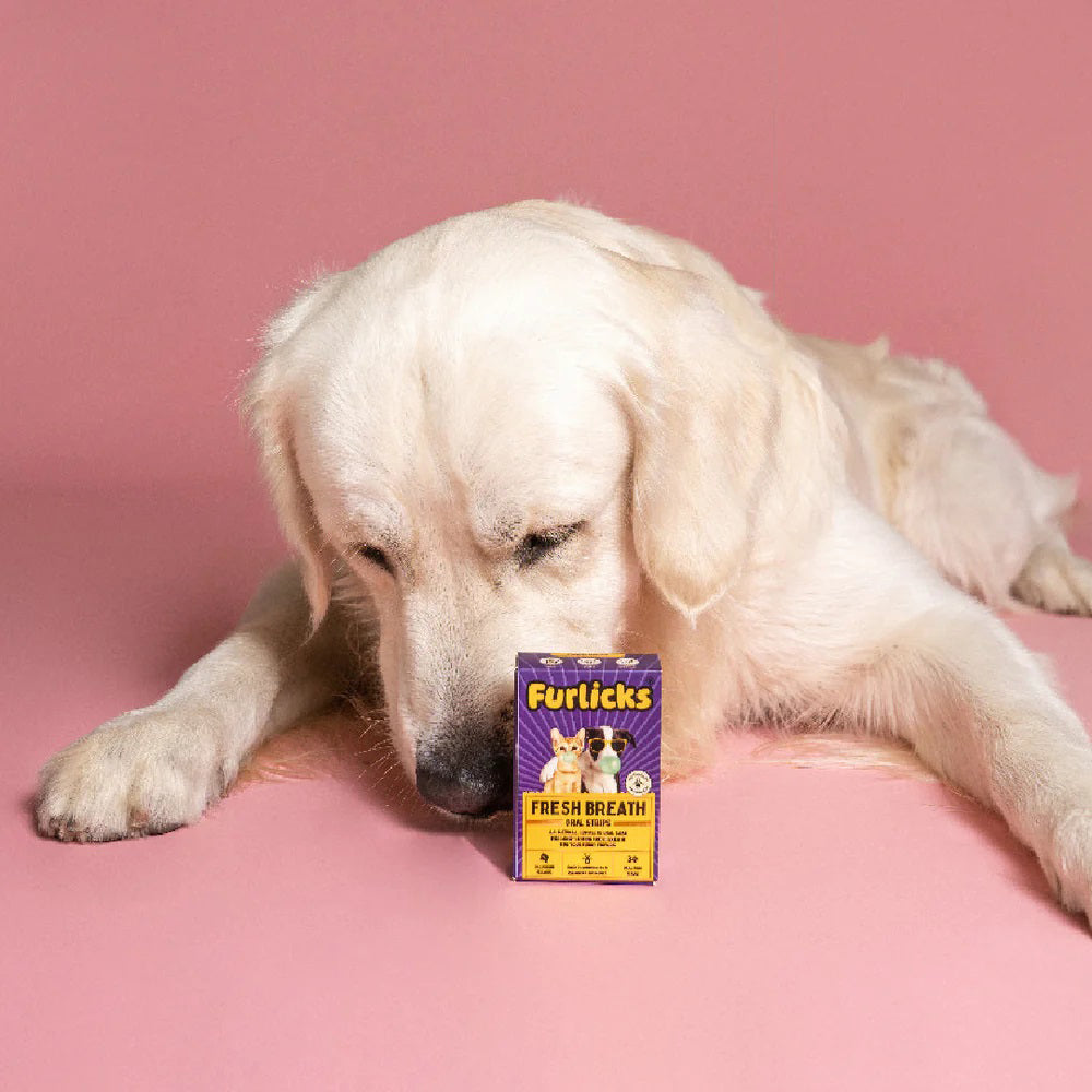 Furlicks Fresh Breath Spearmint Pet Oral Supplement - 45g (30 Strips) - 05