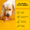 Furlicks Skin & Coat Maple Syrup Pet Oral Food Supplement - 45g (30 Strips) - Heads Up For Tails