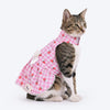 HUFT Berry Burst Dress For Cat - Pink - Heads Up For Tails