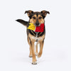 HUFT Fry-yay Plush Toy For Dog - Red & Yellow
