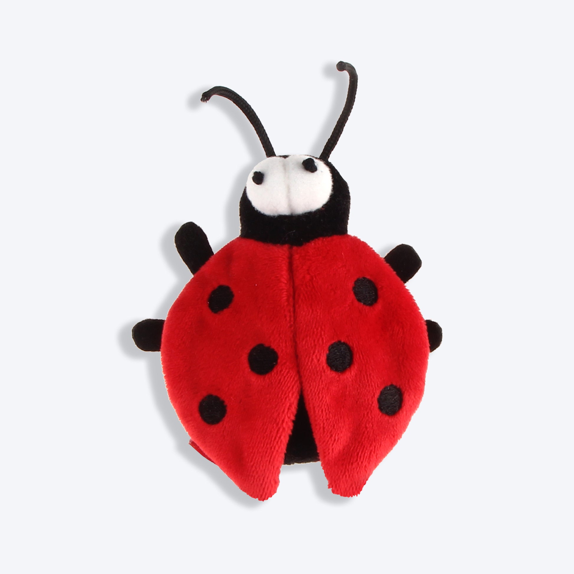 GiGwi Melody Chaser with Motion Activated Sound Chip Cat Toy- Beetle - Heads Up For Tails