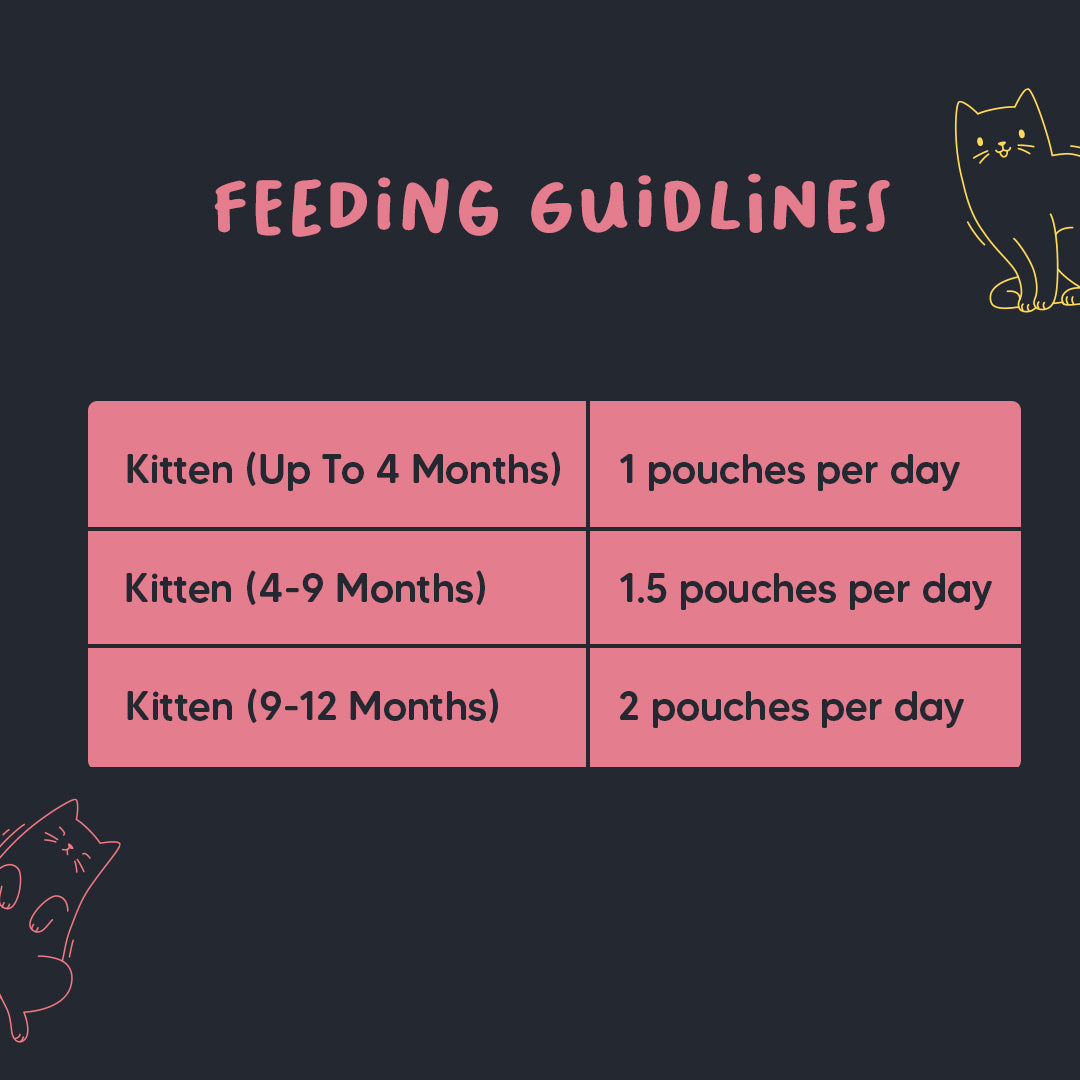 Meowsi by HUFT Chicken Mousse Kitten Wet Food - 70 gm - Heads Up For Tails