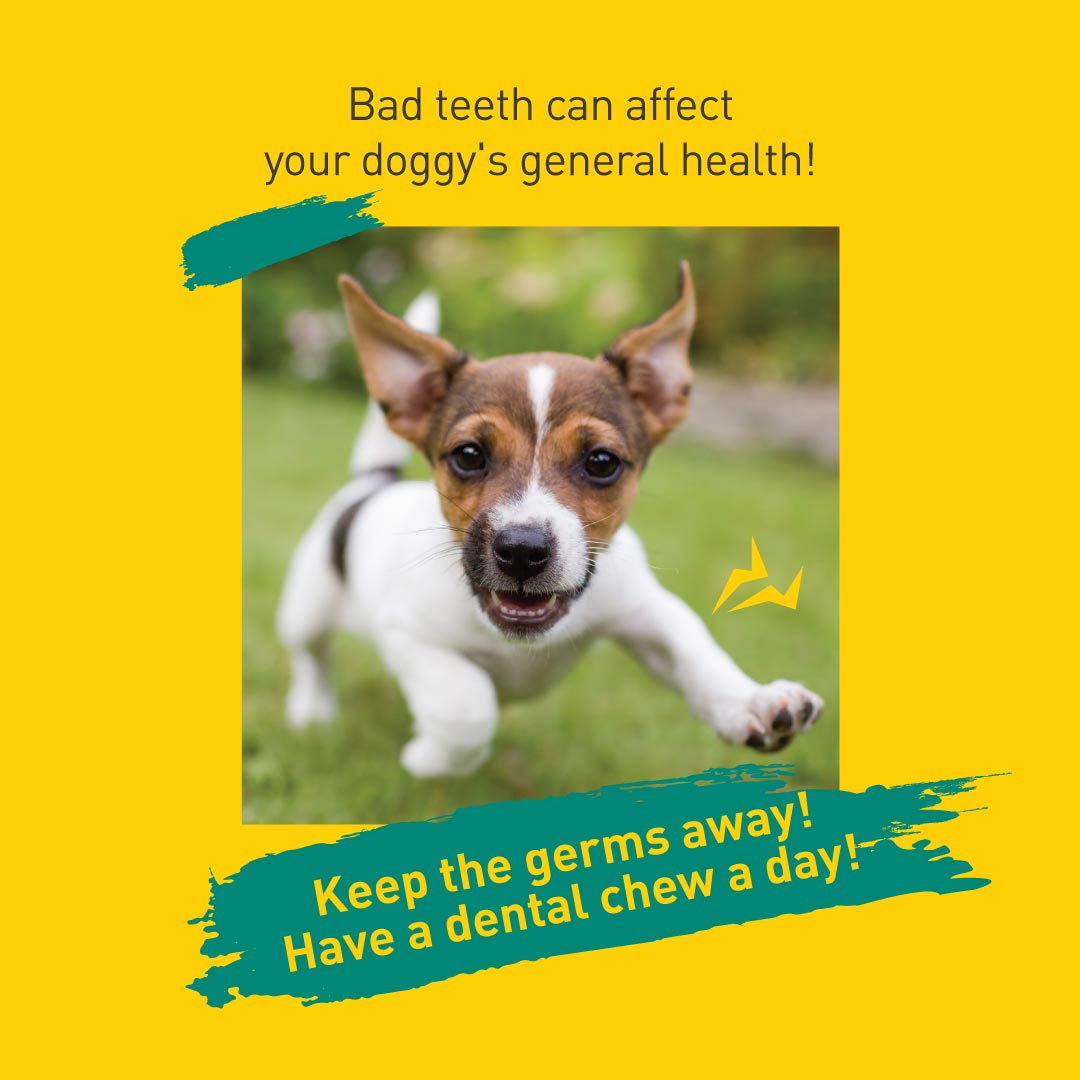 Happi Doggy Vegetarian Dental Chew - Care (Hip & Joint Support) Rosehip & Okra - Petite - 2.5 inch - 150 g - 18 Pieces-8