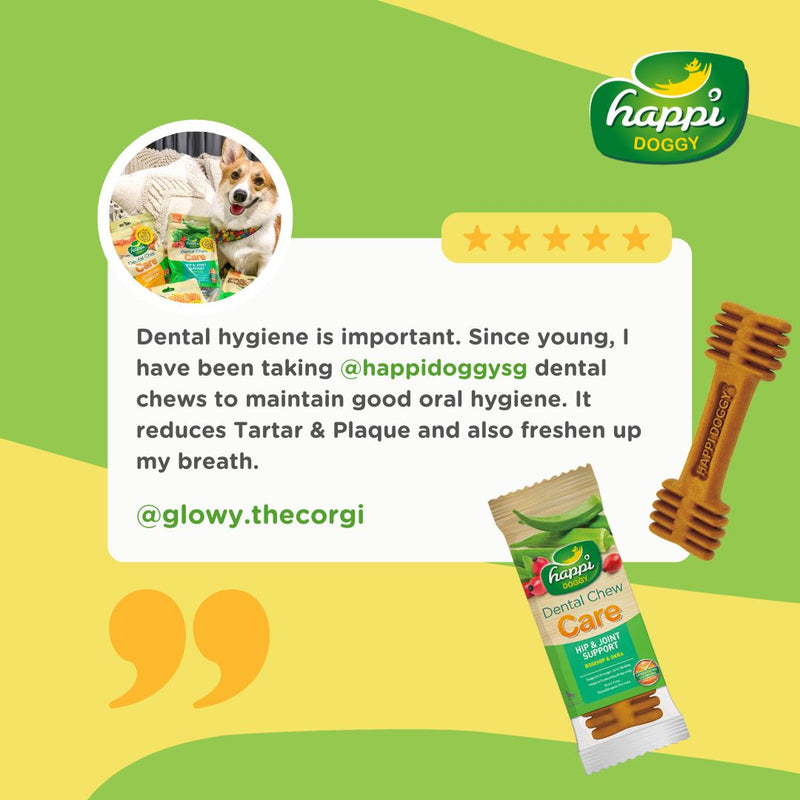 Happi Doggy Vegetarian Dental Chew - Care (Hip & Joint Support) Rosehip & Okra - Petite - 2.5 inch - 150 g - 18 Pieces-6