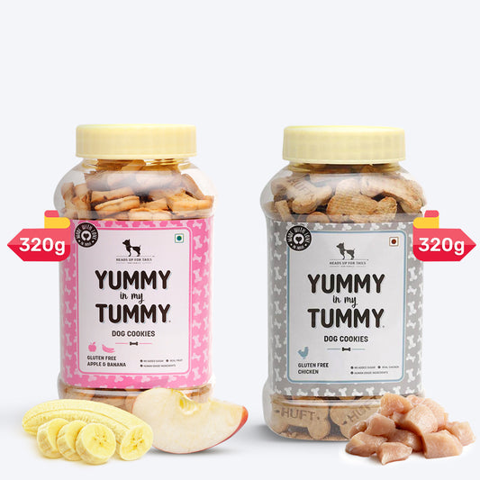 HUFT YIMT Gluten Free Dog Biscuits Combo - Real Chicken + Apple & Banana - Pack of 2 (320 g Each) - Heads Up For Tails