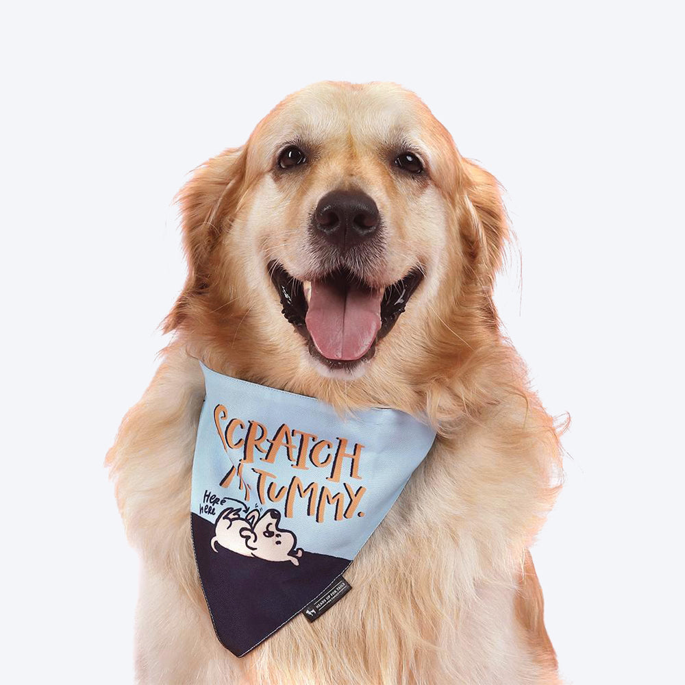 HUFT x Alicia Souza Scratch My Tummy Dog Bandana - Heads Up For Tails