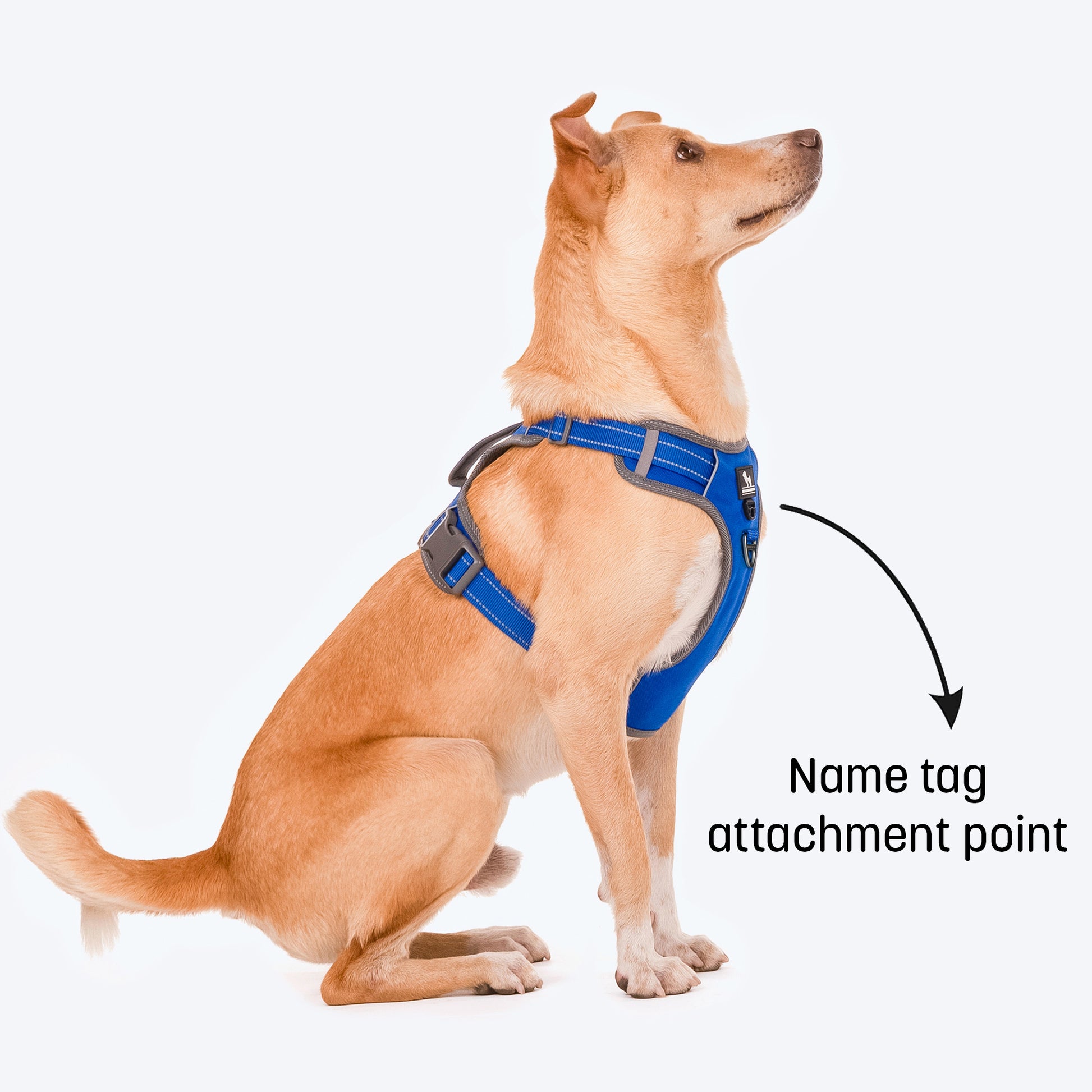 HUFT Active Pet Dog Harness - Royal Blue - Heads Up For Tails