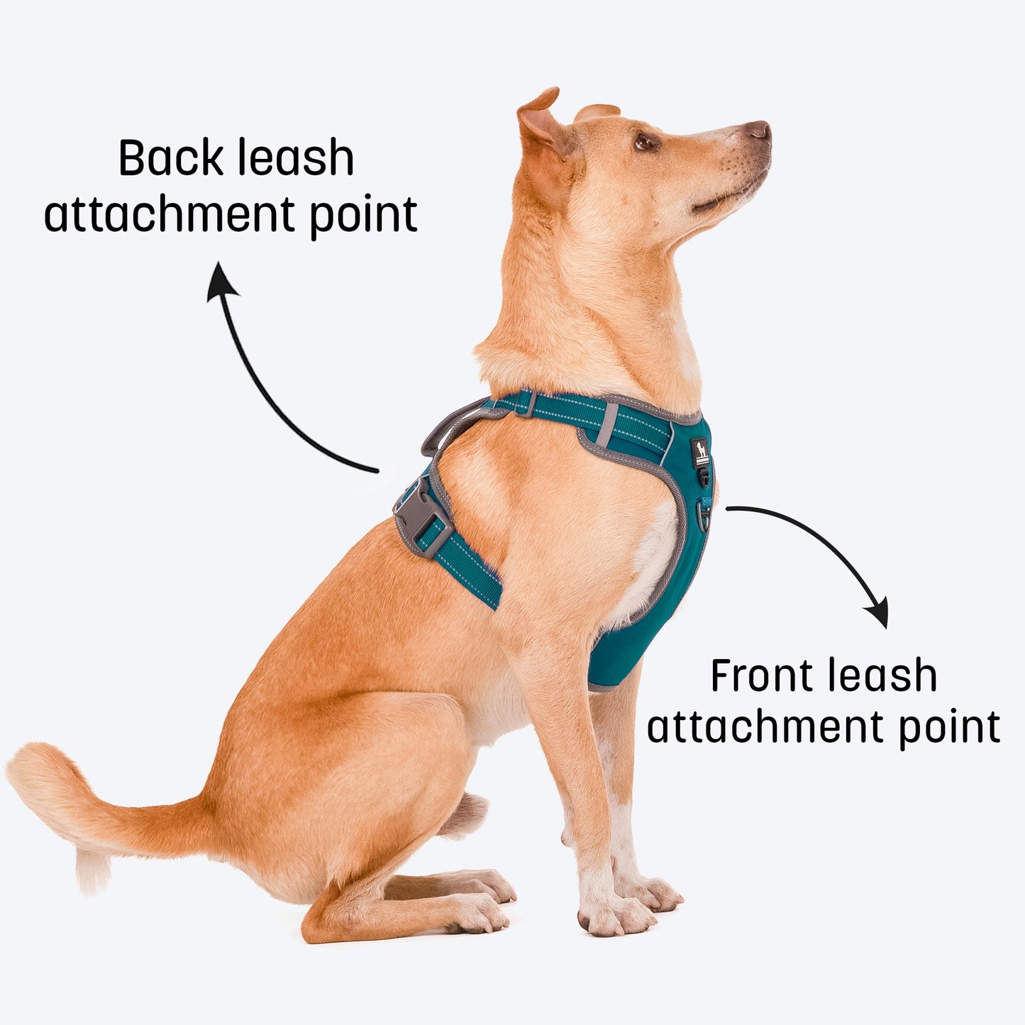 HUFT Active Pet Dog Harness - Teal Blue - Heads Up For Tails