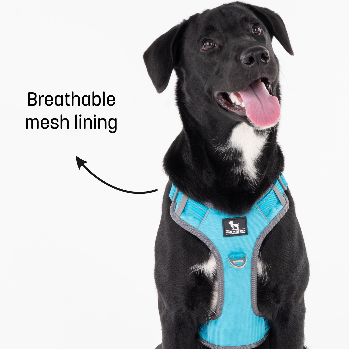 HUFT Active Pet Dog Harness - Light Blue_05